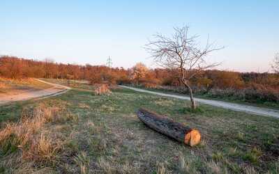 Kráľova hora (King’s Hill)
