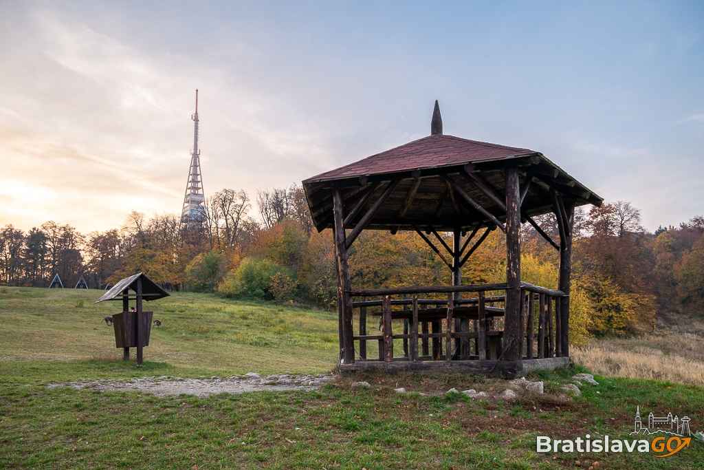 Kamzík - Malé Karpaty