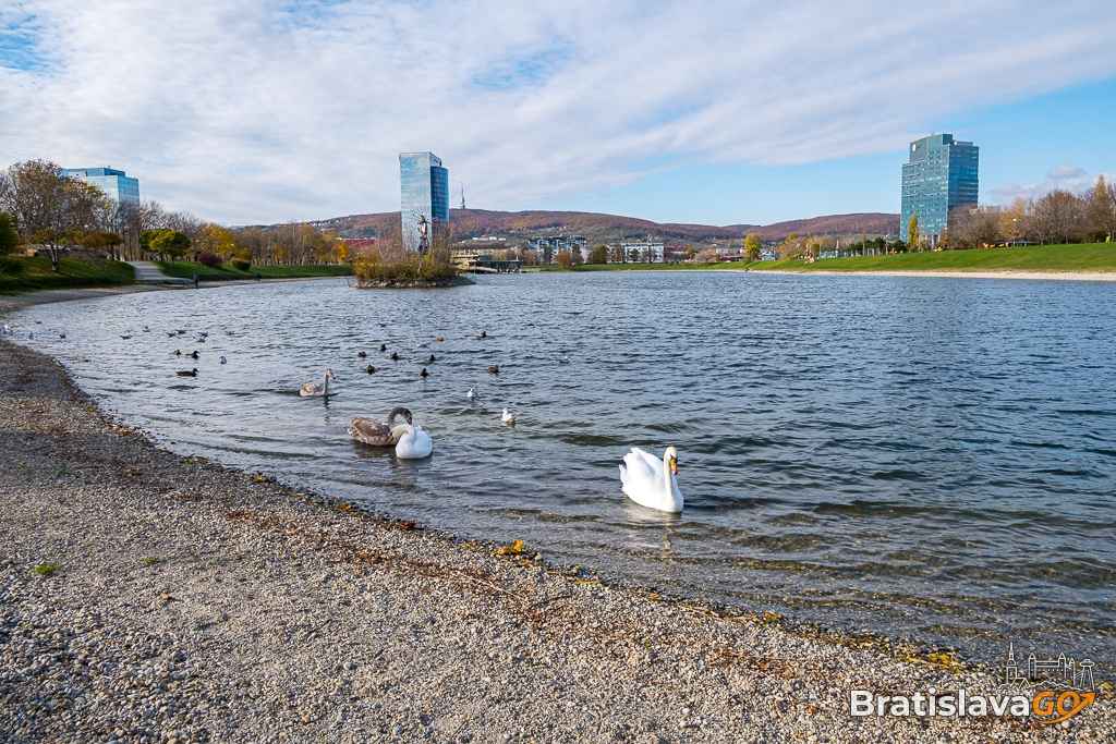 Kuchajda Lake