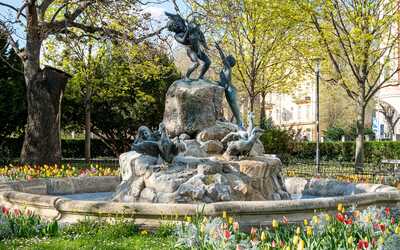 Duck Fountain