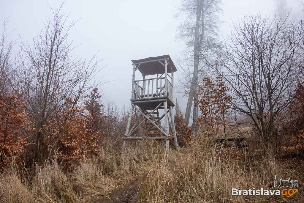 Bratislavský Drieňovec Viewpoint