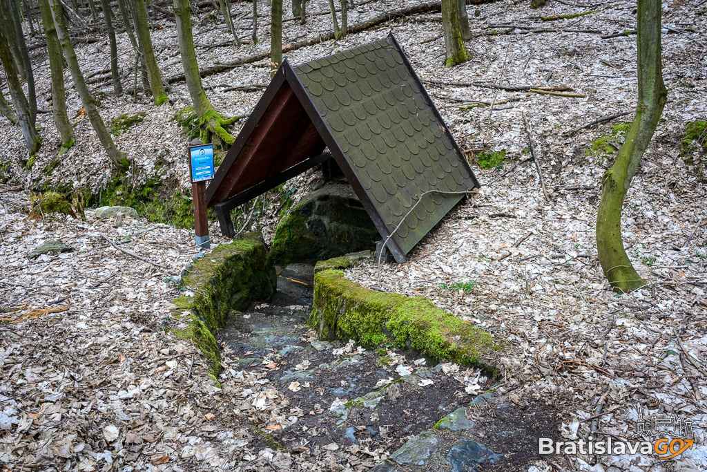 Šenkárka Spring