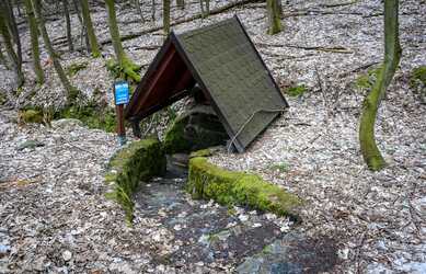 Šenkárka Spring