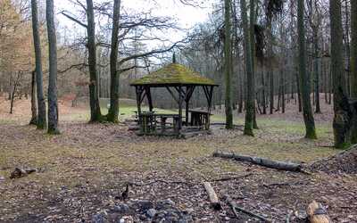 Severka Meadow