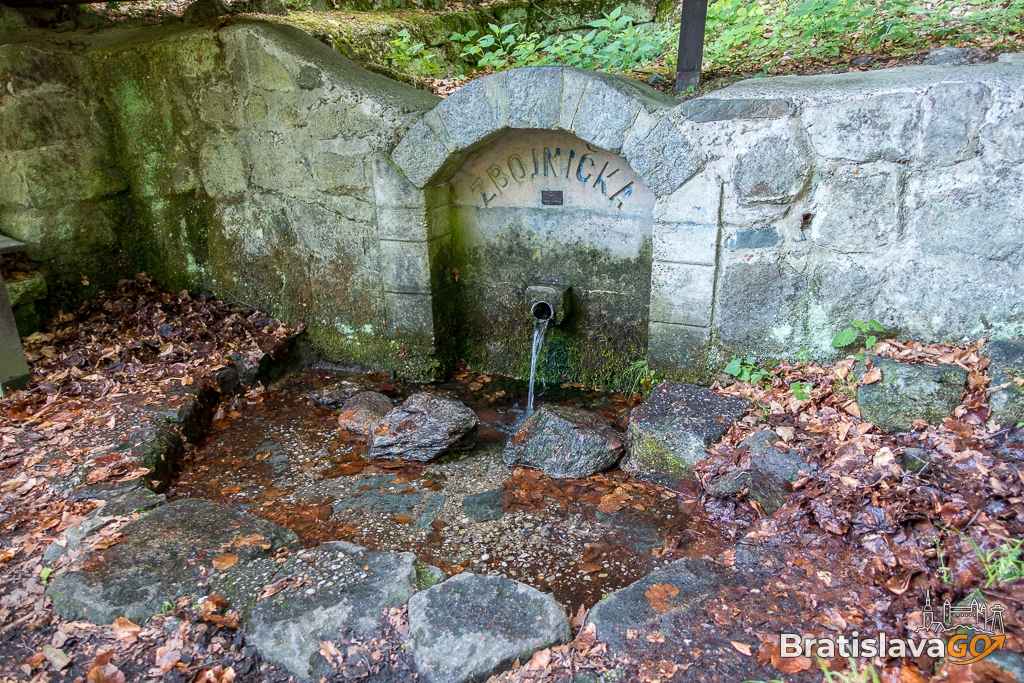 Zbojníčka Spring