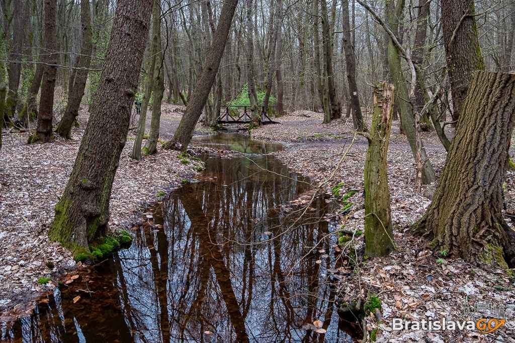 Mountain stream Vydrica