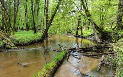 The Alluvium of the Rudava River