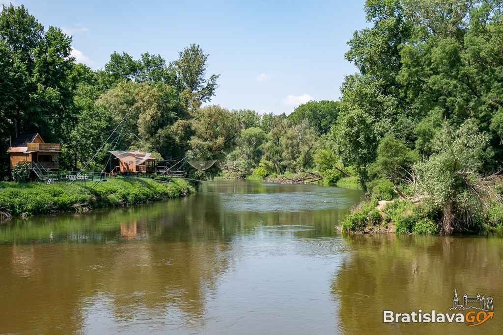 Confluence of the Morava and Dyje Rivers