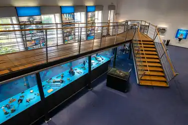 Museums