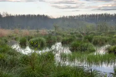 Nature reserves