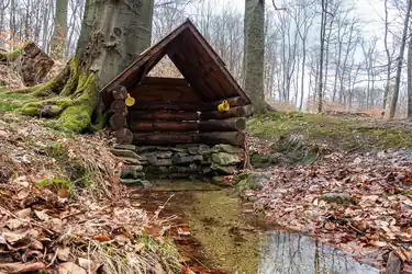 Springs