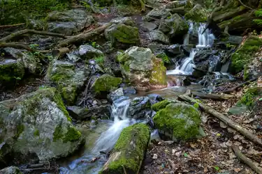 Waterfalls
